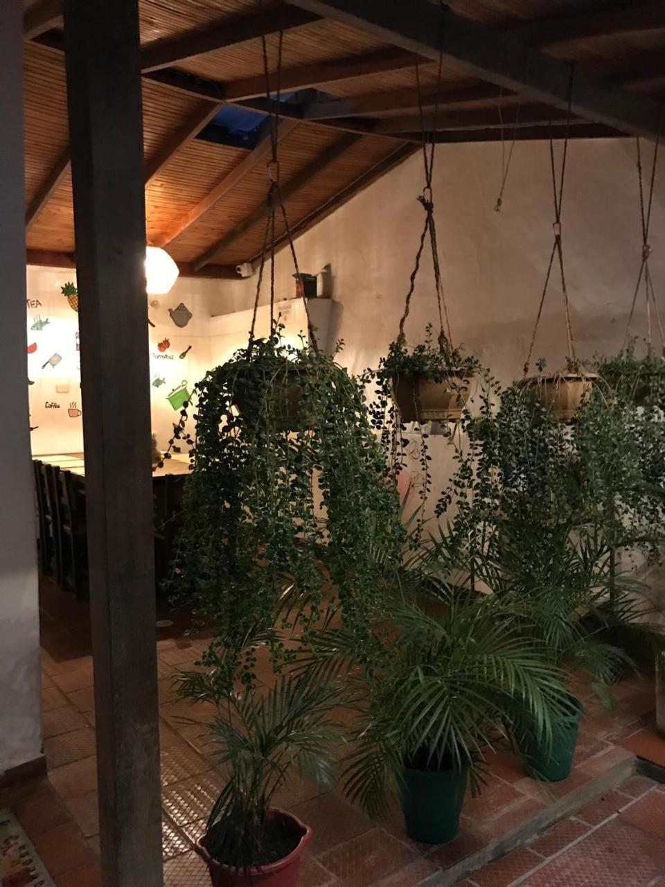The Best Adventure Hostel San Gil Buitenkant foto